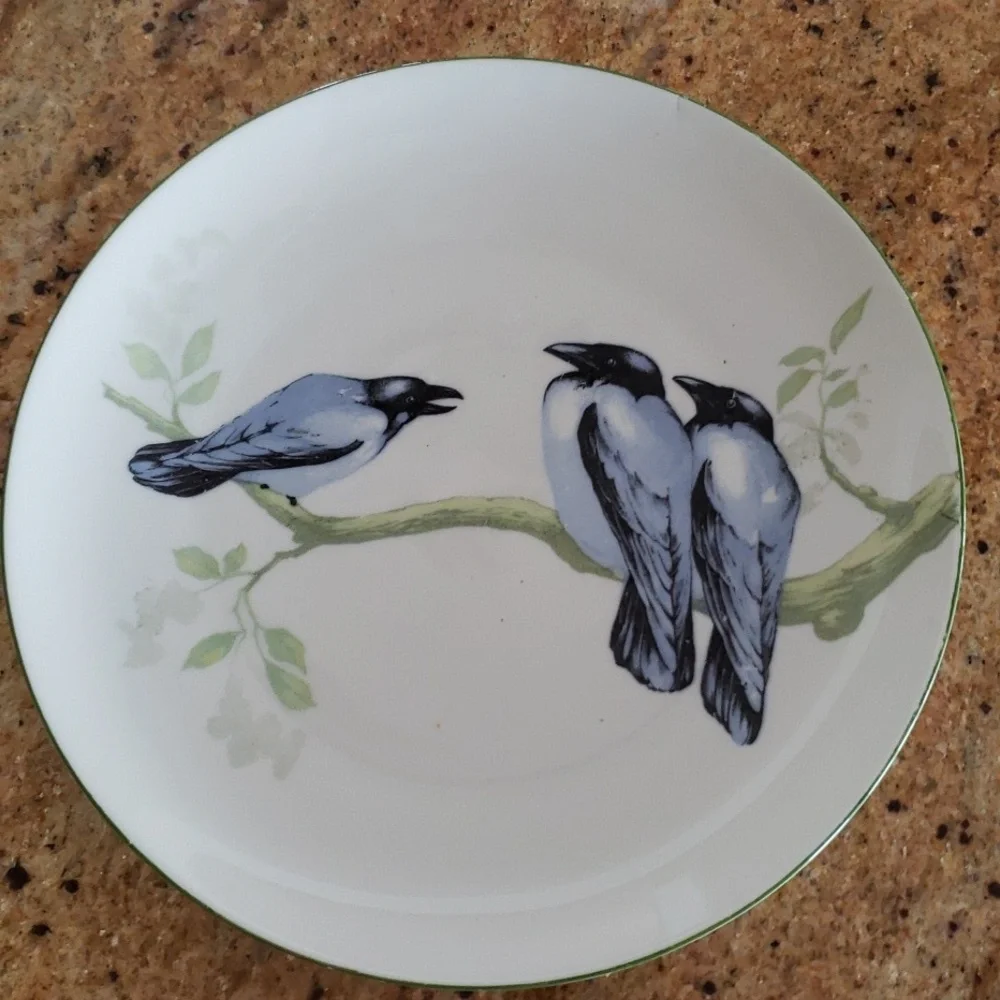 MZ Moritz Zdekauer Austria Blue Black Birds 8.5